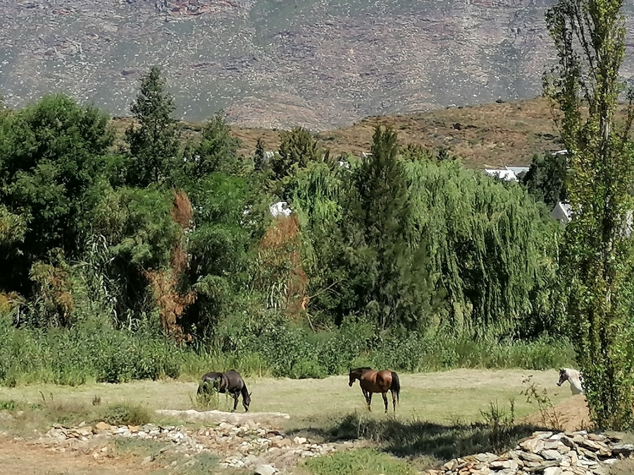 0 Bedroom Property for Sale in Barrydale Western Cape